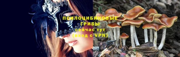 мескалин Аркадак