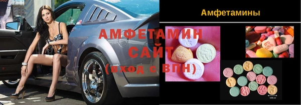 хмурый Арсеньев
