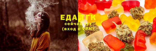 хмурый Арсеньев