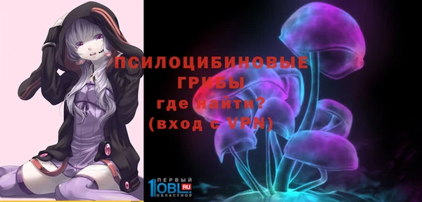 хмурый Арсеньев