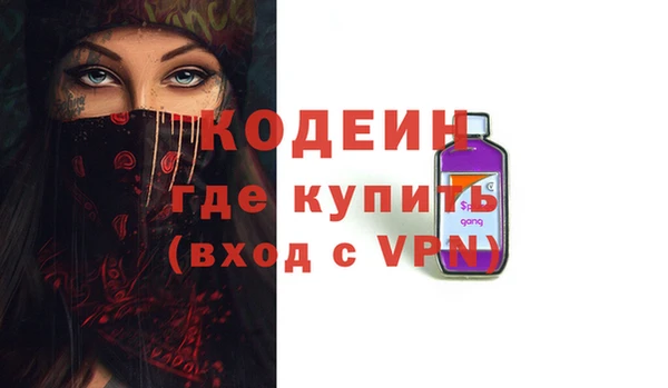 хмурый Арсеньев