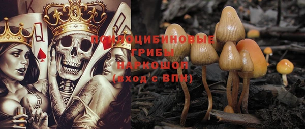 гидропоника Няндома