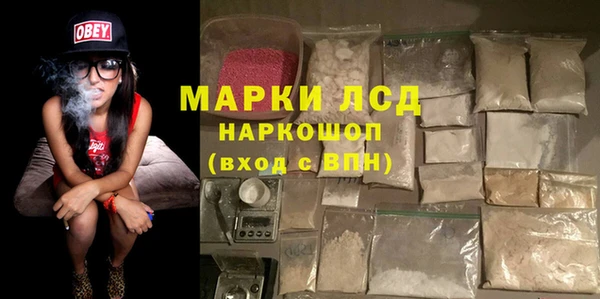 хмурый Арсеньев