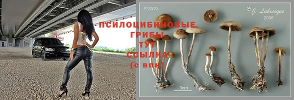 хмурый Арсеньев