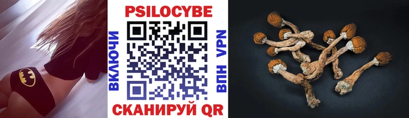 Галлюциногенные грибы GOLDEN TEACHER  Елец 