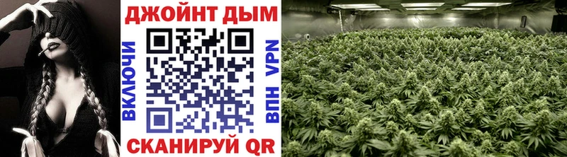 Бошки Шишки индика  Елец 